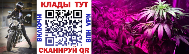 Купить наркоту Кущёвская ГЕРОИН Меф мяу мяу ГАШ Марихуана