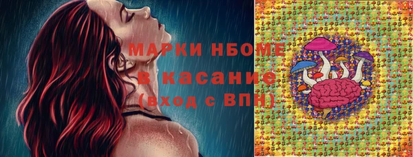 трава Белокуриха