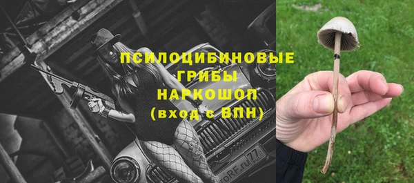 трава Белокуриха